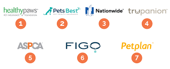 Maybe you would like to learn more about one of these? The Best Pet Insurance Of 2021 Reviews By Your Best Digs