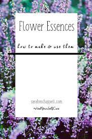How To Make Flower Essences Sarah M Chappell Flower Essences Bach Flower Remedies Flower Remedy