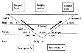 Tongue Trouble The Vowels An Overview