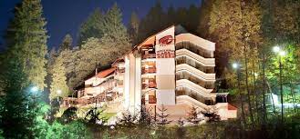 Un hotel foarte primitor cu un personal de nota 10 restaurantul la fel ,mancare buna si personalul restaurantului jis palaria. Hotel Dobru Suntem Gazdele Tale Din Inima Naturii