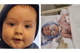 Fundraiser for Joanne Seguna by Karina Ruscigno : Help Zayn with his fight  in ICU