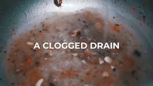 Check spelling or type a new query. Tips For Preventing A Clogged Commercial Kitchen Drain