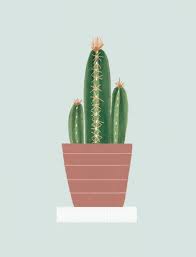 También tiene la buena fuente de minerales como potasio. Plantas De Interior Y Exterior Con Grandes Beneficios