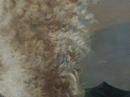 Cornwell Conservation