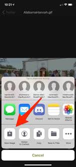 Share the best gifs now >>> How To Save Gifs From Twitter On Iphone Android Or Desktop