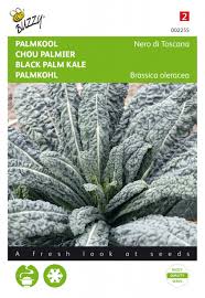 Its robust texture and attractive leaves make it a popular choice with chefs looking for a slightly sweeter cabbage substitute. Buzzy Black Leaf Kale Nero Di Toscana For Sale Buy Online For Only 2 05