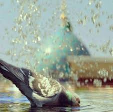دنیای ما را نور باران کن ظهور قائم آل محمد عج انتظار حجاب و عفاف Islamic Pictures Islamic Images Islamic Paintings