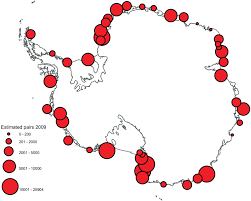 an emperor penguin population estimate the first global