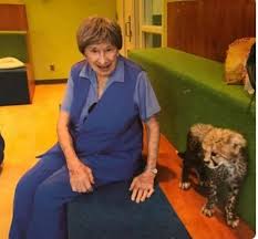 The daily news reports that dave, a kangaroo from the bronx zoo, will star in his own animal planet show following his struggles with arthritis. How One Woman Inspires Future Animal Caretakers Blog Nature Pbs