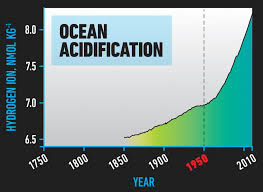 24 Charts Every Leader Should See World Economic Forum