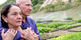 Brazilian couple replants forest with over 4 million trees--Aleteia