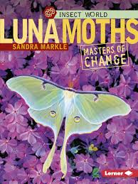 Check spelling or type a new query. Insect World Luna Moths Masters Of Change Markle Sandra Amazon De Bucher