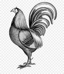 Weitere ideen zu schablonen zum ausdrucken, schablonen, ausdrucken. Leghorn Huhn Hahn Wand Aufkleber Papier Drucken Das Ende Png Herunterladen 751 1026 Kostenlos Transparent Huhn Png Herunterladen
