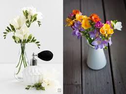 20个适合插瓶水养的鲜花品种 英文名称及养护技巧科普 北美省钱快报dealmoon com 攻略 glass vase decor home decor