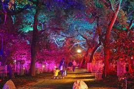 Christmas Light Displays Across The Country That Are Absolutely Breathtaking Christmas Light Displays Best Christmas Lights Light Display