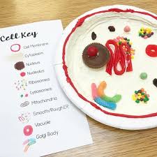 Amoeba acquires its food through such. Https Msmresources Org Pdf 2019 Cells Mitosis And Stop Motion Animation Morning Pdf