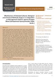 Image result for Astripomoea hyoscyamoides