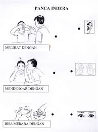 Kita sebagai manusia telah diberikan oleh tuhan yang maha esa lima indra atau panca indera. Lembar Kerja Tk Tema Panca Indera Images Nomor Siapa