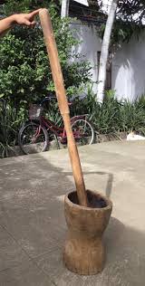 Information about symptoms, health a. S A L E Antique Molave Mortar Pestle Lusong At Dikdikan Can Be A Planter Or Receptacle Molave Mulawin Mortar Ilocos Region Early 1900s Weathered Untouched Piece Great Accent