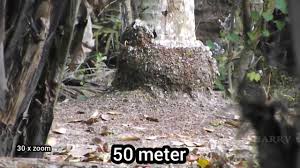 Maybe you would like to learn more about one of these? Fujifilm Finepix S4900 Test Zoom Youtube