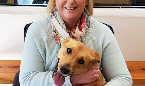 We have now placed twitpic in an archived state. Spca Of Hancock County Names New Executive Director The Ellsworth Americanthe Ellsworth American