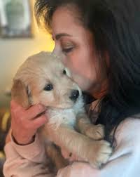 Any suggestions for a dog's name between Vallie and Navy?