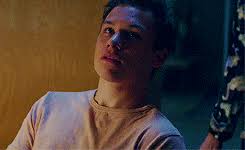 FINN COLE