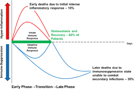 Evaluation and management of suspected sepsis and septic shock in adults. Role Of The Adaptive Immune Response In Sepsis Intensive Care Medicine Experimental Full Text