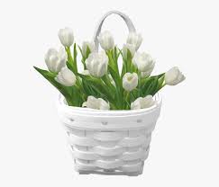 Check spelling or type a new query. Transparent Funeral Flowers Clipart White Tulip White Background Hd Png Download Kindpng