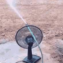 We regularly add new gif animations about and. Fan Gifs Tenor