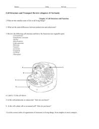 Cells stay the same size when placed in an _. Cell Transport Notes Summary