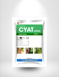Cyat 525WG