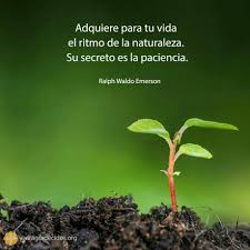 Pin En Natura