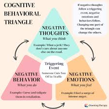 Image result for Angry Behavior