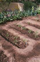 En Fevrier Je Prepare Deja Mon Potager Potager Jardin Potager Astuce Jardin