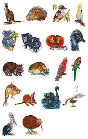 Australian animals vector illustrations clipart bundle. Australian Animals Australian Animals List Animal Embroidery Designs