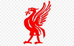 Some of them are transparent (.png). New Balance Logo