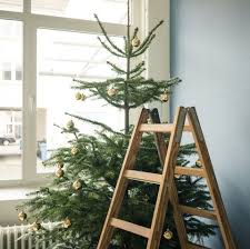 Check spelling or type a new query. How To Have An Eco Friendly Christmas