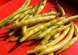 Ilustrasi sang penjawab yang sedang lari dari para quorawan jika yang dimaksud dengan kedelai hijau adalah kacang hijau/ijo atau mung bean 1 maka ini adalah jenis yang berbeda dengan kedelai/kedele atau. Jenis Dan Jenis Kacang Hijau Dengan Keterangan Dan Gambar Mengikut Warna Kacang Hijau