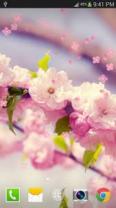Paperland pro live wallpaper мод apk 5.7.1. Sakura Live Wallpaper For Android Apk Download