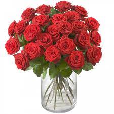 Der strauß besteht aus 33 rosen. Rosen Mybouquet Rote Rosen Kurzstielig 50 Cm