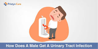Urinary tract infections (utis), also called bladder infections, occur when fungi, viruses and bacteria find their way into the bladder. How Does A Male Get A Urinary Tract Infection Pristyn Care