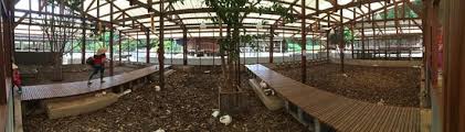 We did not find results for: Panorama Kiri Kandang Anak Kambing Kanan Kandang Kelinci Di Luar Picture Of Kuntum Farmfield Bogor Tripadvisor