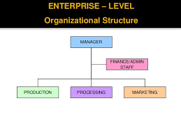 7 Organization Feasibility
