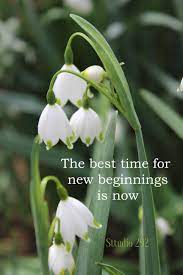 Flowers Inspirational Quotes For 2018 Beautiful Flowers Beautiful Flowers With Quotes Flower Photography Inspirational Quotes Inspiration Favorite Quotes