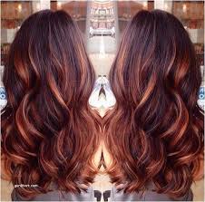 Image Result For Copper Blonde Highlights On Black Hair Hair Styles Long Hair Styles Cool Hair Color