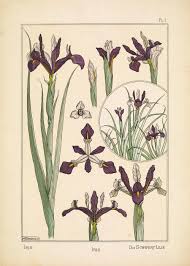 Check spelling or type a new query. Beautiful Free Art Nouveau Flower Prints To Download Picture Box Blue