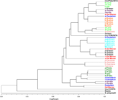 This high quality transparent png images is totally free on pngkit. Dendrogram For The Platense Tomato Subpopulations And Individual Download Scientific Diagram