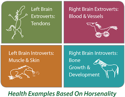 Different Horsenalities Different Health Conditions