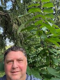 Pawpaw enthusiast Hiking through the woods Their partner FB.com/PapaPawpaws